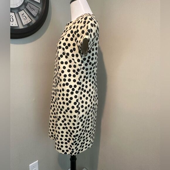 J Crew Cream and Black Polka Dot knee Length Short Sleeve Dress Size 2 - Picture 6 of 11